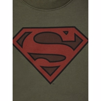 NAME IT Superman Sweatshirt Ruber Beetle